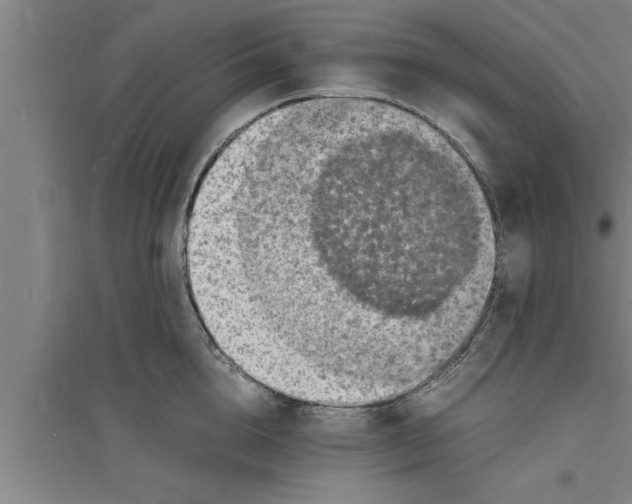 X0000094060856200711161523