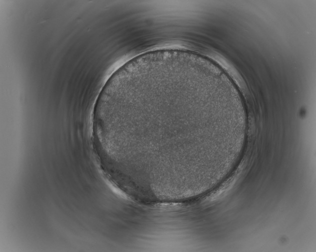 X0000094060858200711161523