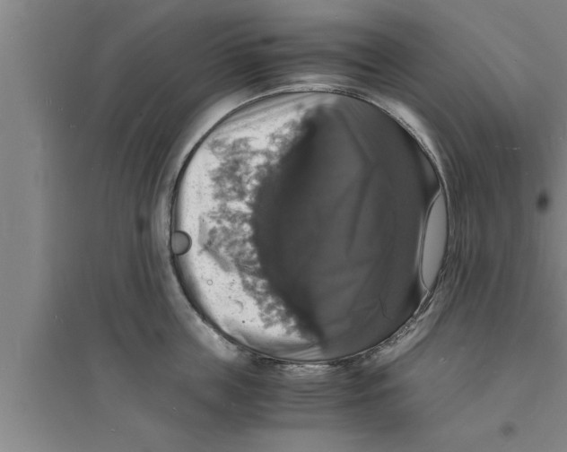 X0000094060859200711161523