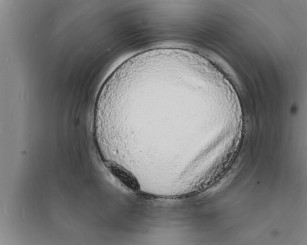 X0000094060860200711161523