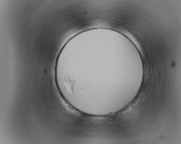 X0000094060861200711161523