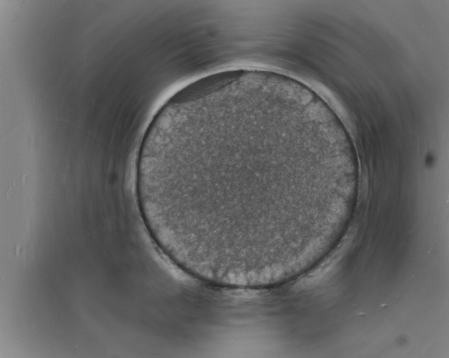 X0000094060862200711161523