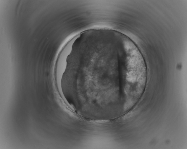 X0000094060864200711161523