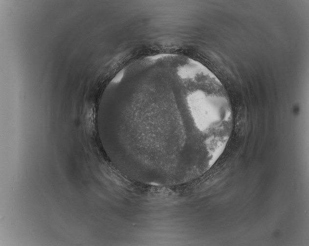 X0000094060866200711161522