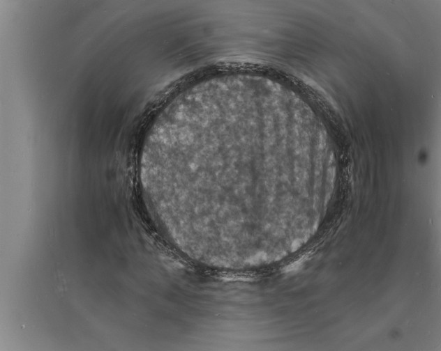 X0000094060870200711161522