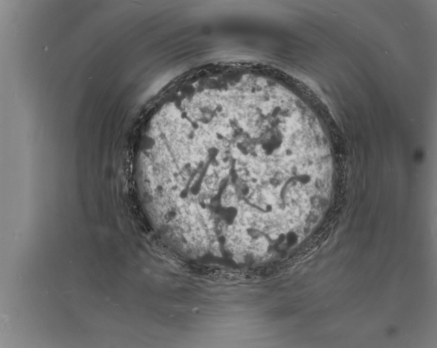 X0000094060871200711161522