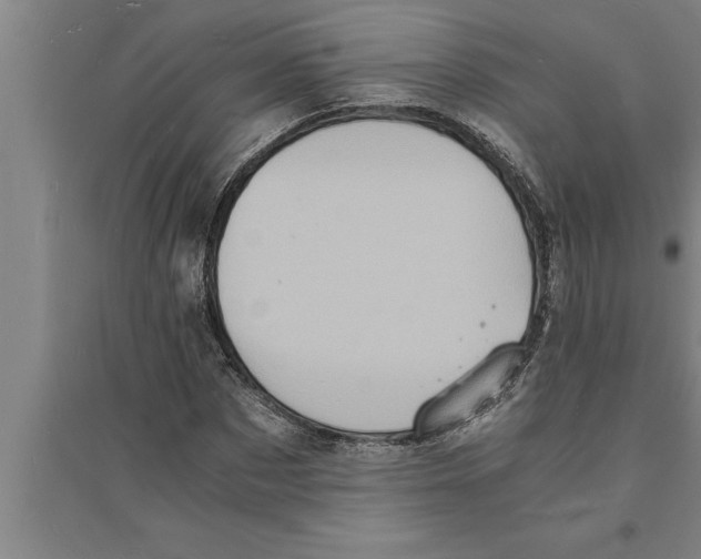 X0000094060873200711161522