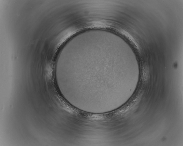 X0000094060874200711161522