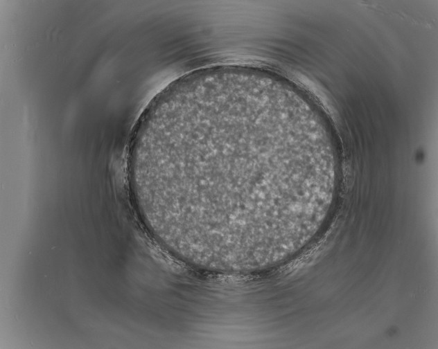 X0000094060875200711161522