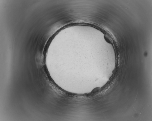 X0000094060876200711161522