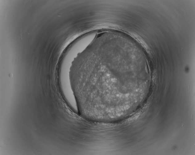 X0000094060877200711161522