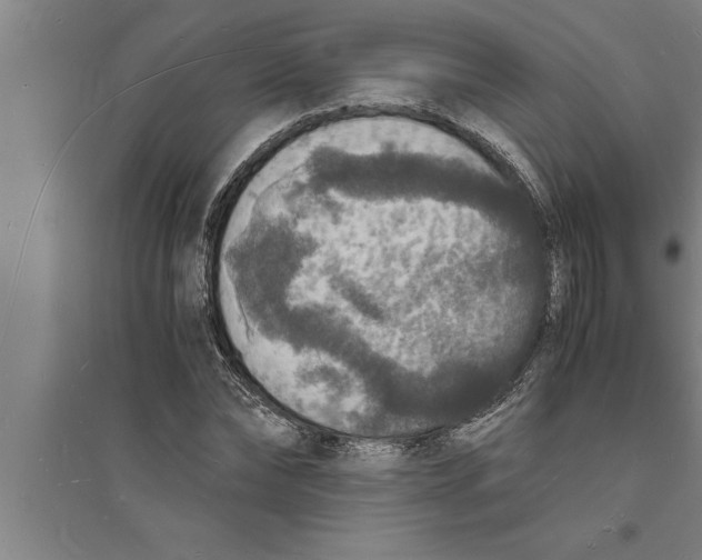 X0000094060878200711161522