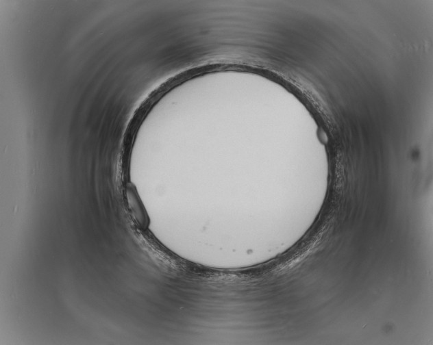 X0000094060880200711161522