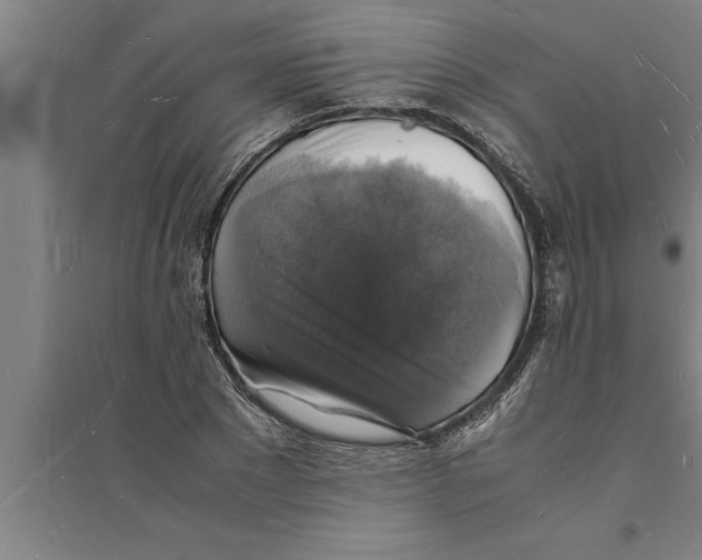 X0000094060881200711161522