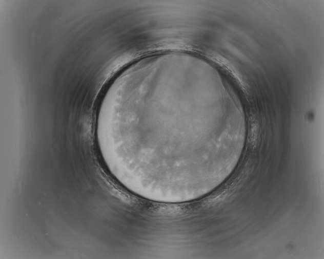 X0000094060882200711161522