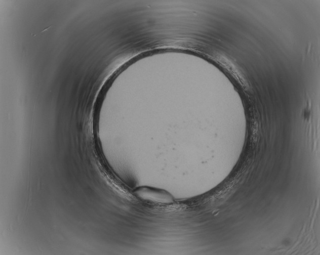 X0000094060884200711161522