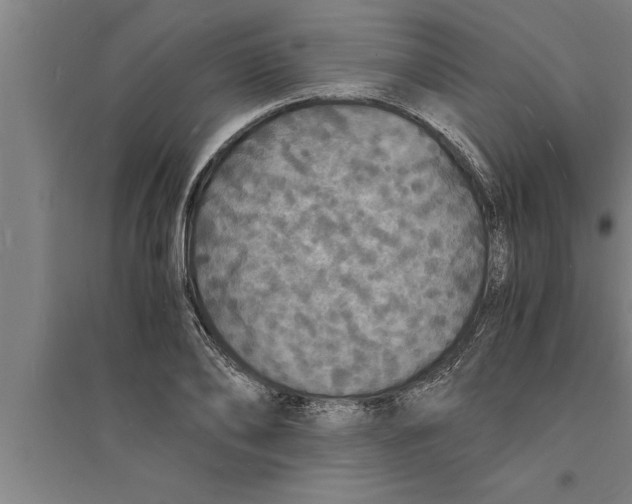 X0000094060886200711161522