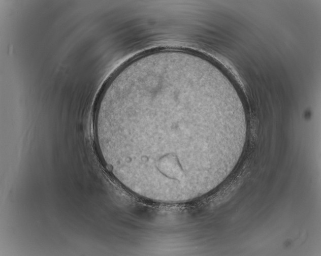 X0000094060887200711161522