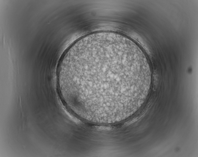 X0000094060890200711161522