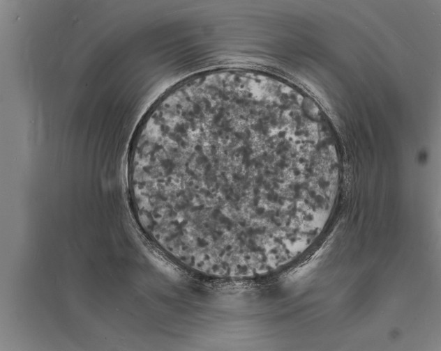 X0000094060891200711161522