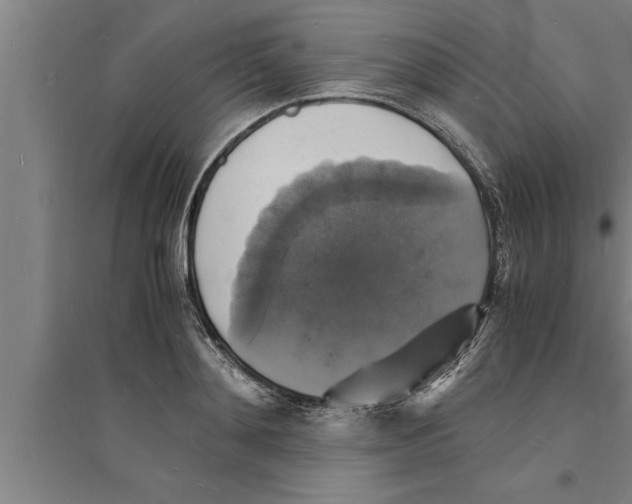 X0000094060892200711161522