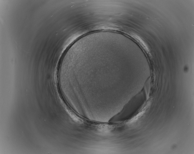 X0000094060893200711161522