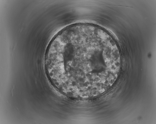 X0000094060895200711161522