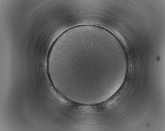 X0000094060896200711161522