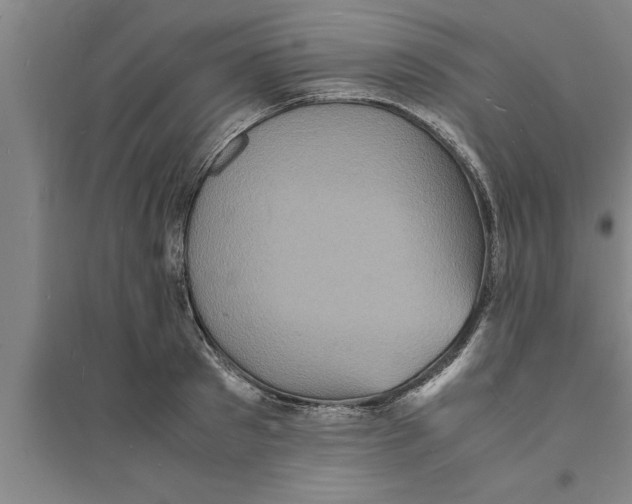 X0000094060897200711161522