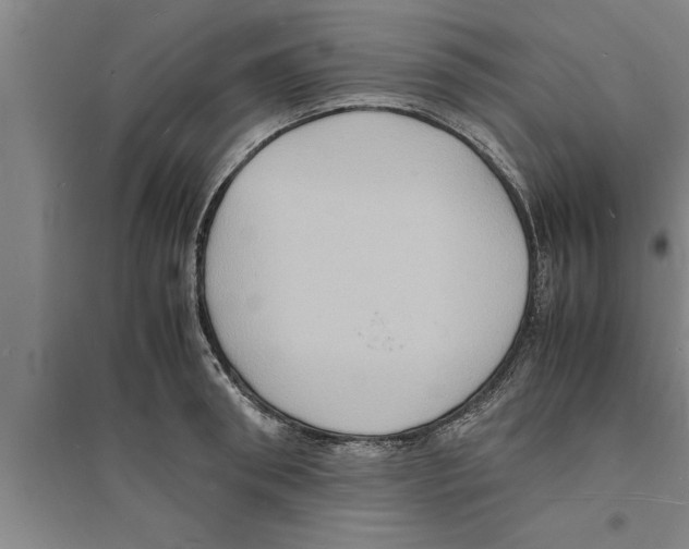 X0000094060898200711161522