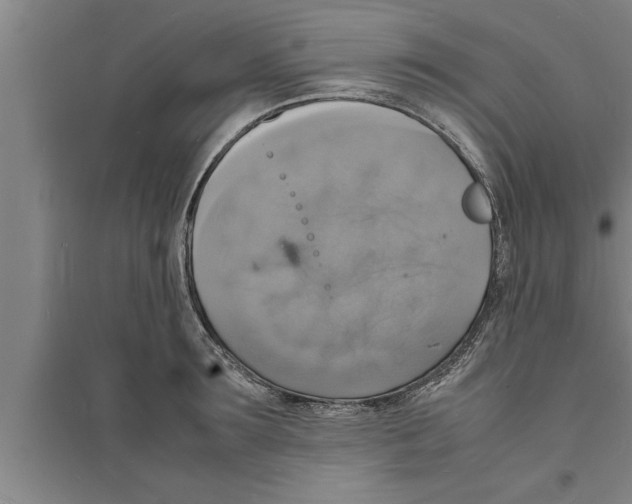 X0000094060899200711161522