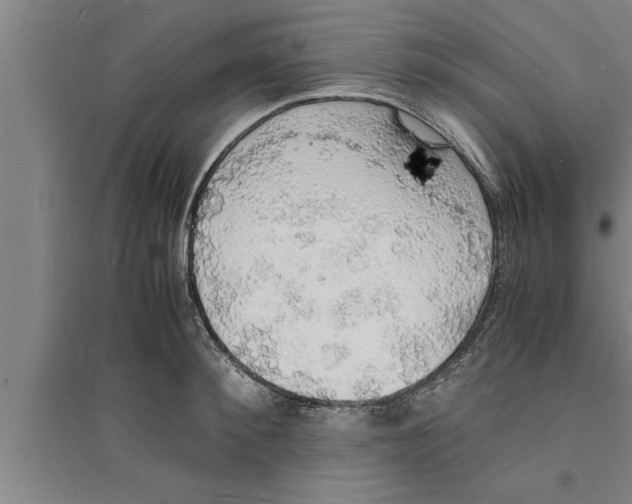 X0000094060900200711161522