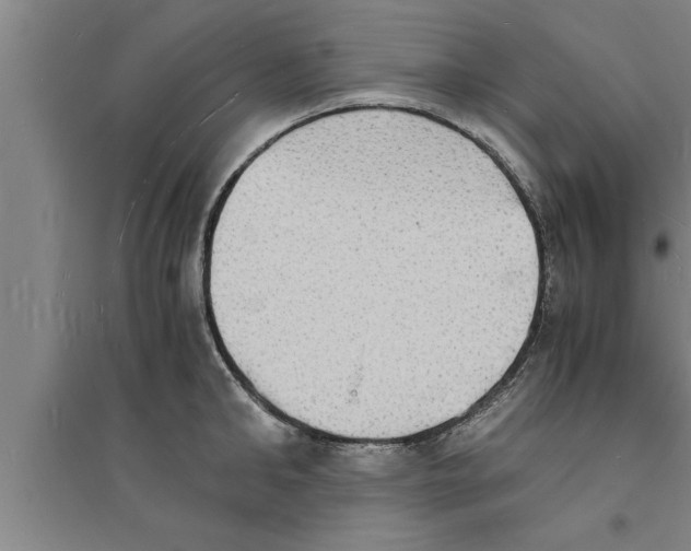 X0000094060902200711161521