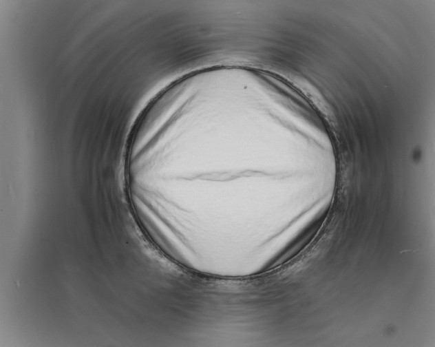 X0000094060904200711161521