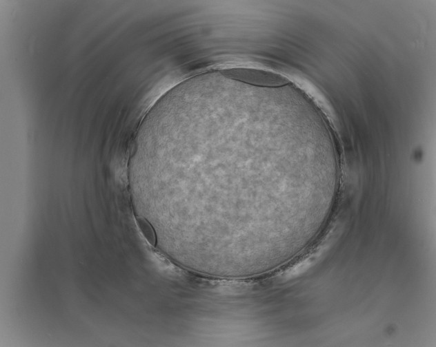 X0000094060905200711161521