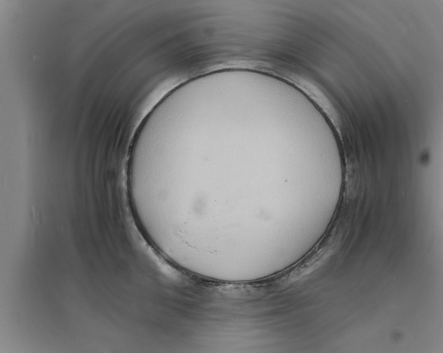 X0000094060906200711161521