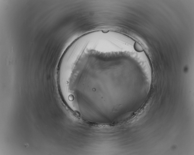 X0000094060907200711161521