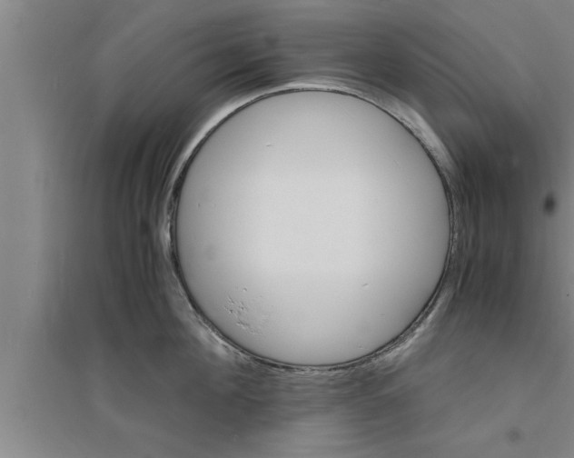 X0000094060908200711161521