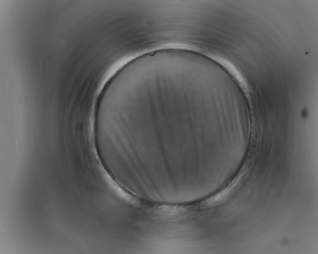 X0000094060910200711161521