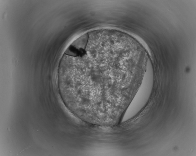 X0000094060911200711161521