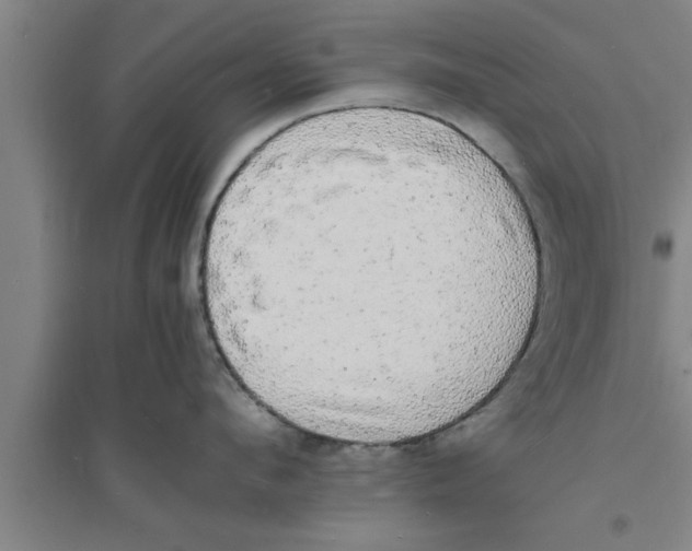 X0000094060912200711161521