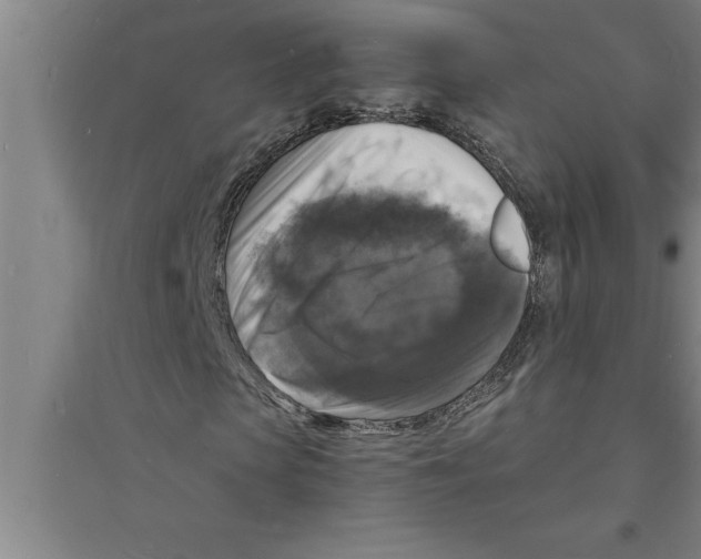 X0000094060913200711161521