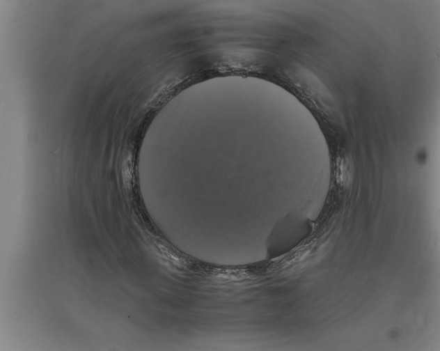 X0000094060915200711161521