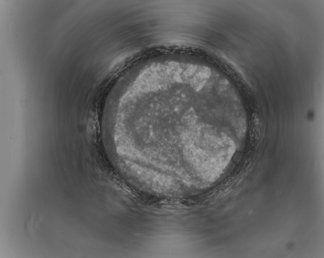 X0000094060918200711161521