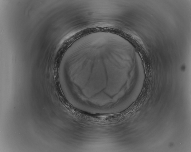 X0000094060920200711161521