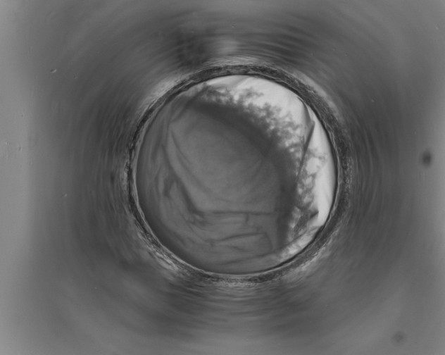 X0000094060921200711161521