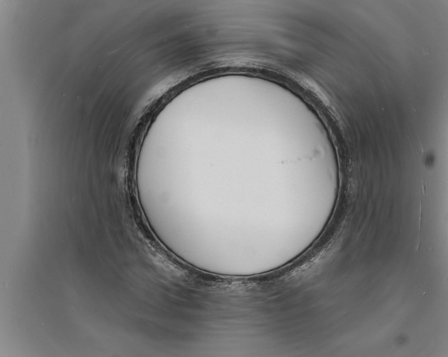 X0000094060922200711161521