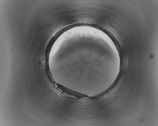 X0000094060923200711161521