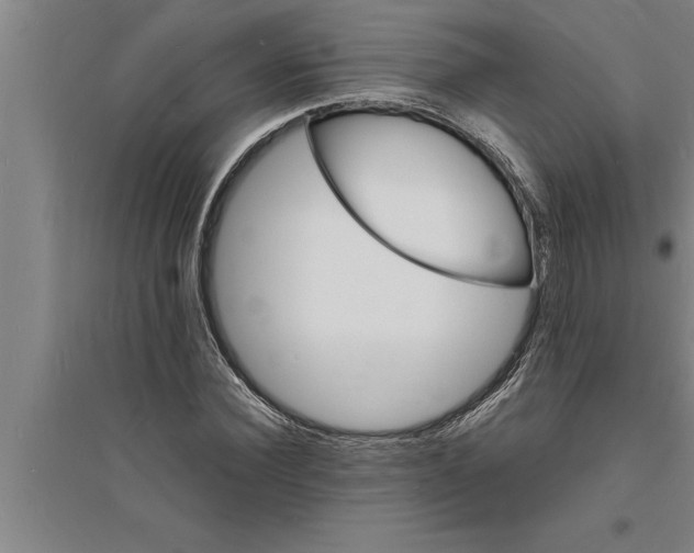 X0000094060924200711161521