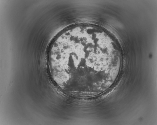 X0000094060925200711161521